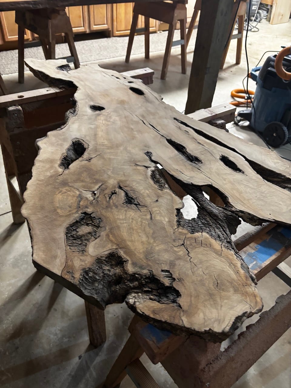 Before Photo of a piece of Live-edge wood before Mr.Countertops transformed it into a Live-edge Epoxy Coffee Table