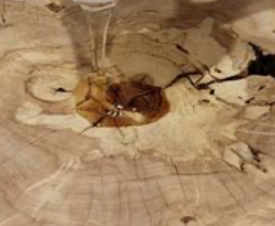 Live edge wood slab with clear and colored epoxy resin filling natural voids.