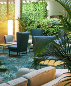 Modern Living room renovation inspired by Biophilic design