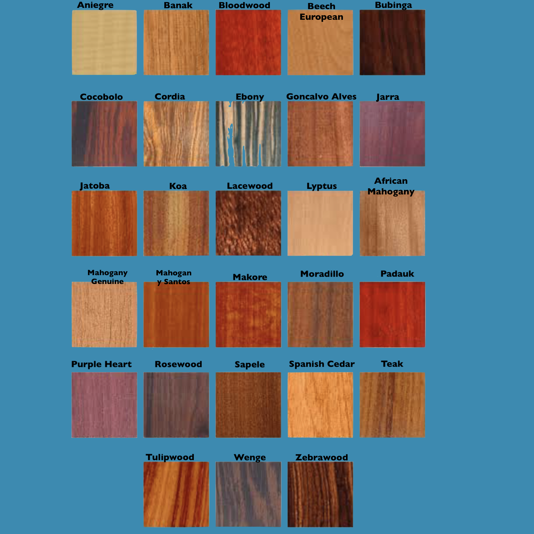 Exotic Wood Species guide 